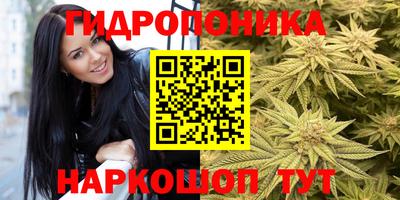 метадон Заводоуковск