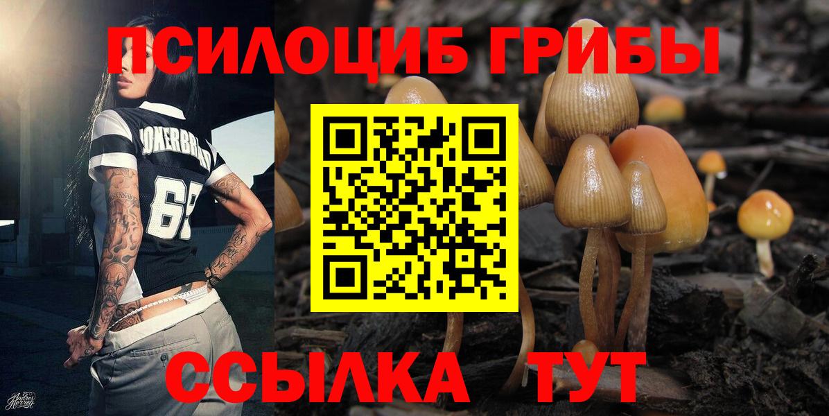 Галлюциногенные грибы ЛСД Темрюк